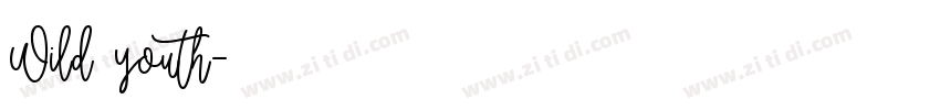 Wild youth字体转换